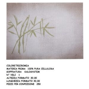 TOVAGLIETTA CARTA NEW ASIAN cm.30x40 x 250 Pz. 0414N [CELTEX207]