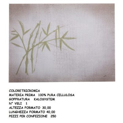 TOVAGLIETTA CARTA NEW ASIAN cm.30x40 x 250 Pz. 0414N [CELTEX207]