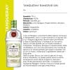 TANQUERAY RANGPUR GIN 41,3% x CL.70 [DIAGEO152]