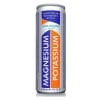 NON DISP.MAGNESIUM & POTASSIUM Cl.25 x 24 Pz.ENERGY DRINK [ZANIBONI190]
