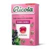 RICOLA RIBES NERO ASTUCCIO x 20 Pz. [RICOLA102]