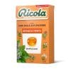 RICOLA ARANCIA-MENTA ASTUCCIO x 20 Pz. [RICOLA104]