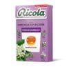 RICOLA FIOR DI SAMBUCO ASTUCCIO x 20 Pz. [RICOLA105]