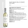 PINOT GRIGIO DELLE VENEZIE DOC 2022 Cl.75 x 6 Pz. [LUNARDI105]