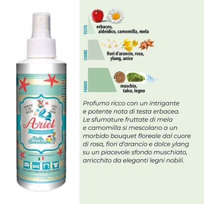 SPRAY TESSUTI ARIEL 250 mL x 1 Pz. V.9,50 [FAVOLA175]