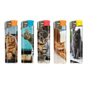 CATS MAXI x 50 Pz. ATOMIC ART.3648035 [TROBER252]