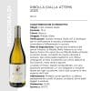 RIBOLLA GIALLA ATTEMS 2023 CL.0,75 x 6 Pz. [FRESCOBALDI105]
