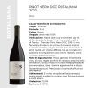 PINOT NERO DOC ROTALIANA 2022 Cl.75 x 6 Pz. [SARZIAMADE105]