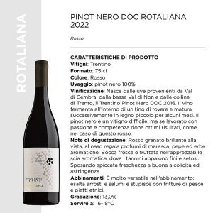 PINOT NERO DOC ROTALIANA 2022 Cl.75 x 6 Pz. [SARZIAMADE105]