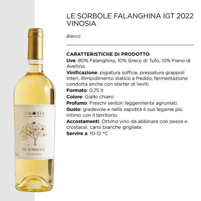 LE SORBOLE BIANCO CAMPANIA FALANGHINA IGT 2022 CL.75 x 6 PZ. [VINOSIA100]