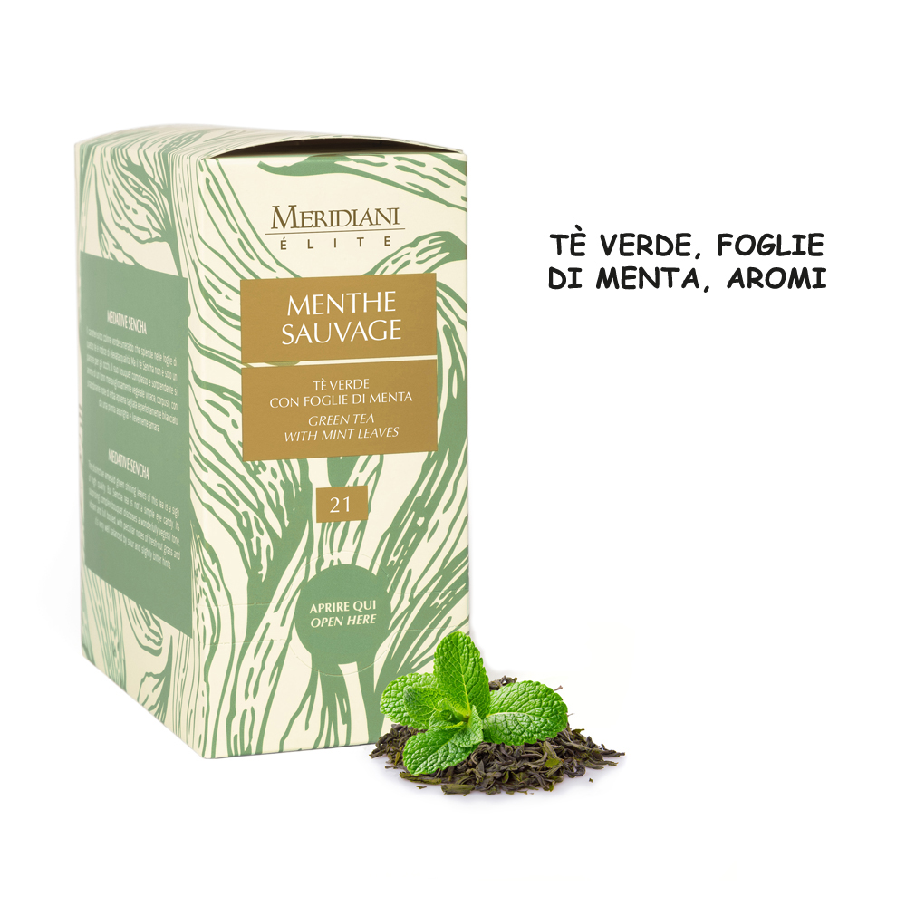 MENTHE SAUVAGE x 20 Pz. ATLANTIDE(N.21) [ATLANTIDE345]