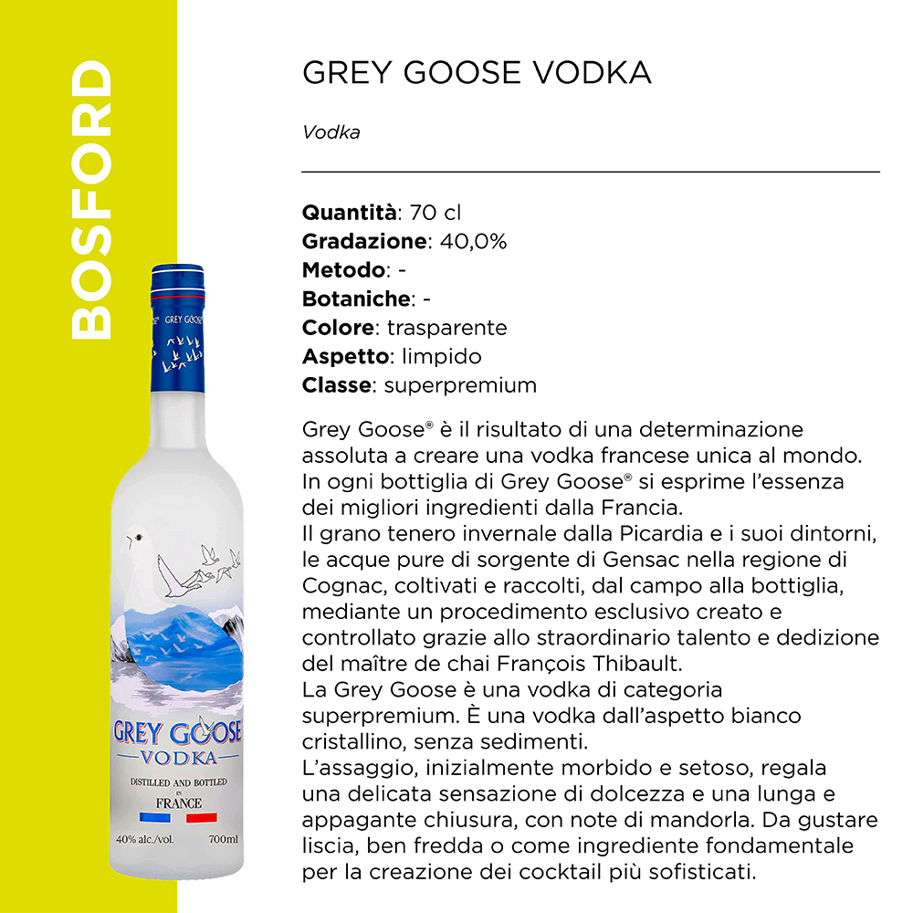 GREY GOOSE VODKA 40? x Cl.70 [MARTINI220]
