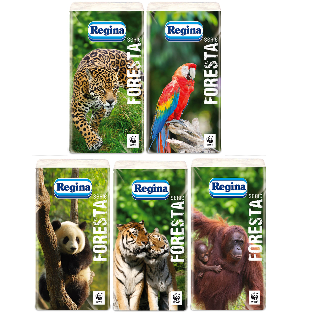 REGINA FAZZOLETTO 16x10 Pz.160 [PAVESI115]